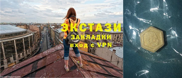 стаф Инта