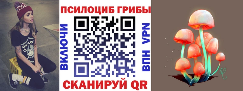 купить наркотик  Сурск  Псилоцибиновые грибы ЛСД 
